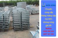 Chuyên cung cấp thang máng cáp mạ kẽm nhúng nóng giá tốt