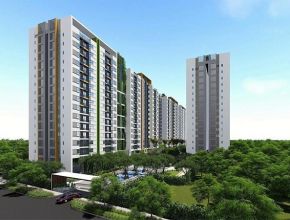 Dự án tòa nhà chung cư - Quận 9 TPHCM